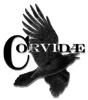 Corvidae's Avatar