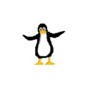 penguini's Avatar