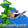 GCAquarian's Avatar